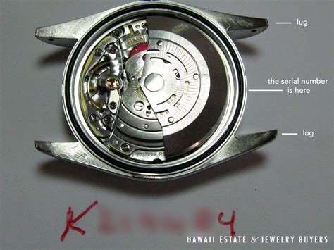 rolex series u|rolex watch model numbers.